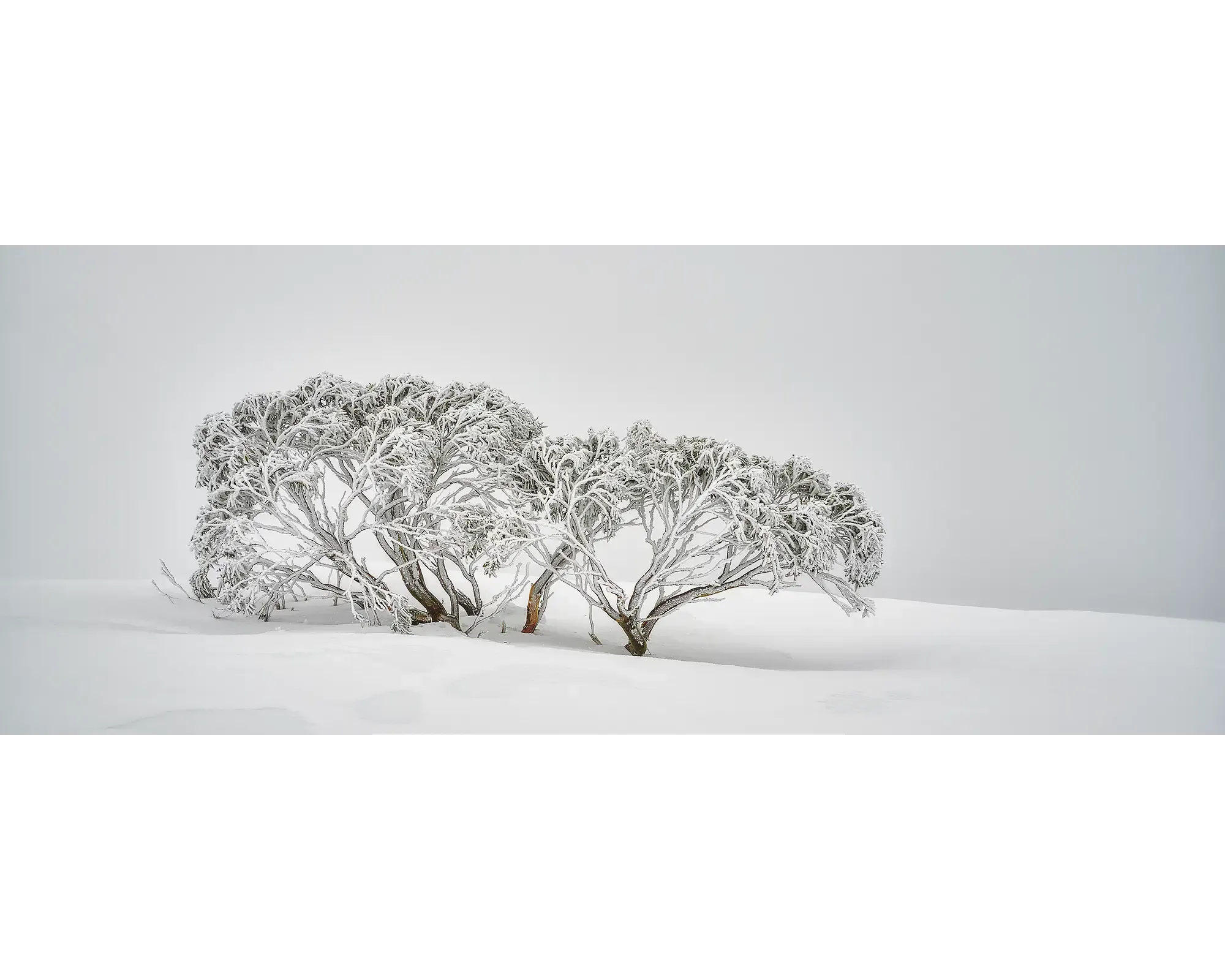 ALPINE SPIRIT. Wall Art