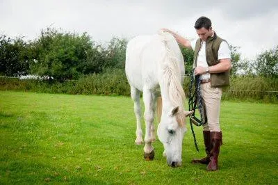 Classic Spanish Riding Boots Tread Sole