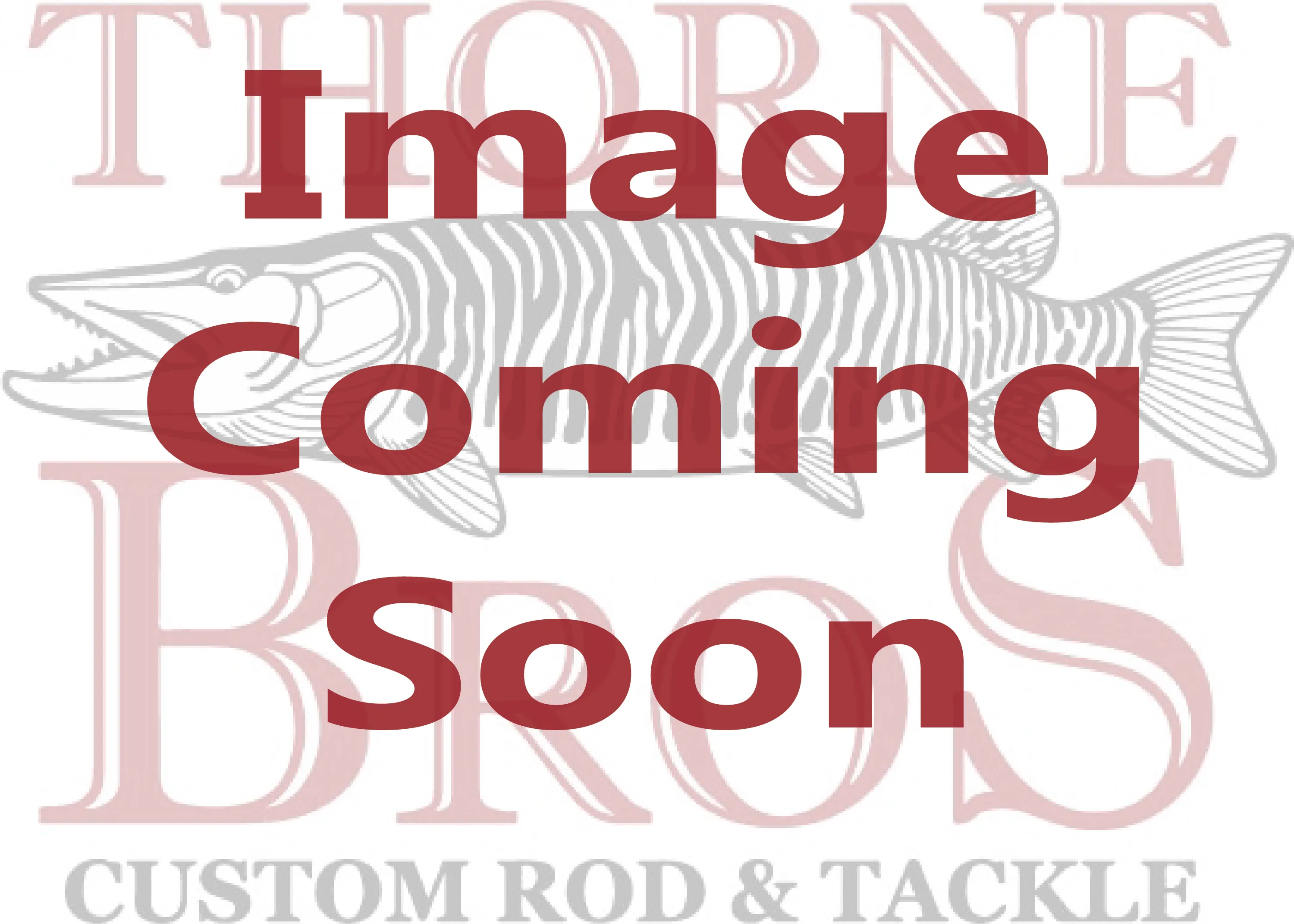 Megabass Vision 110