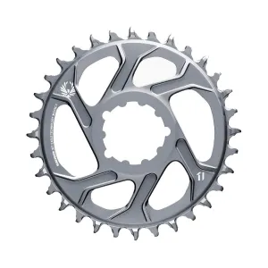Sram Chain Ring X-Sync 2 Direct Mount 3Mm Offset Boost Eagle: Polar Grey 34T